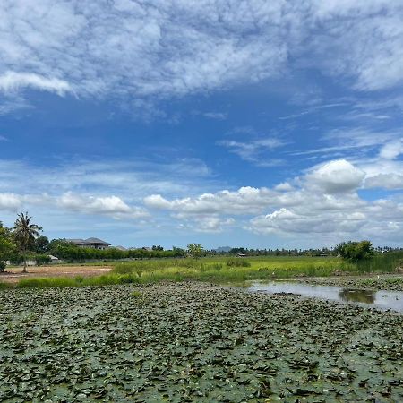 On Green Resort Ban Huai Sua Eksteriør billede