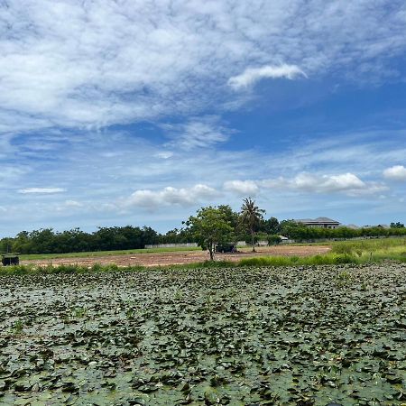 On Green Resort Ban Huai Sua Eksteriør billede