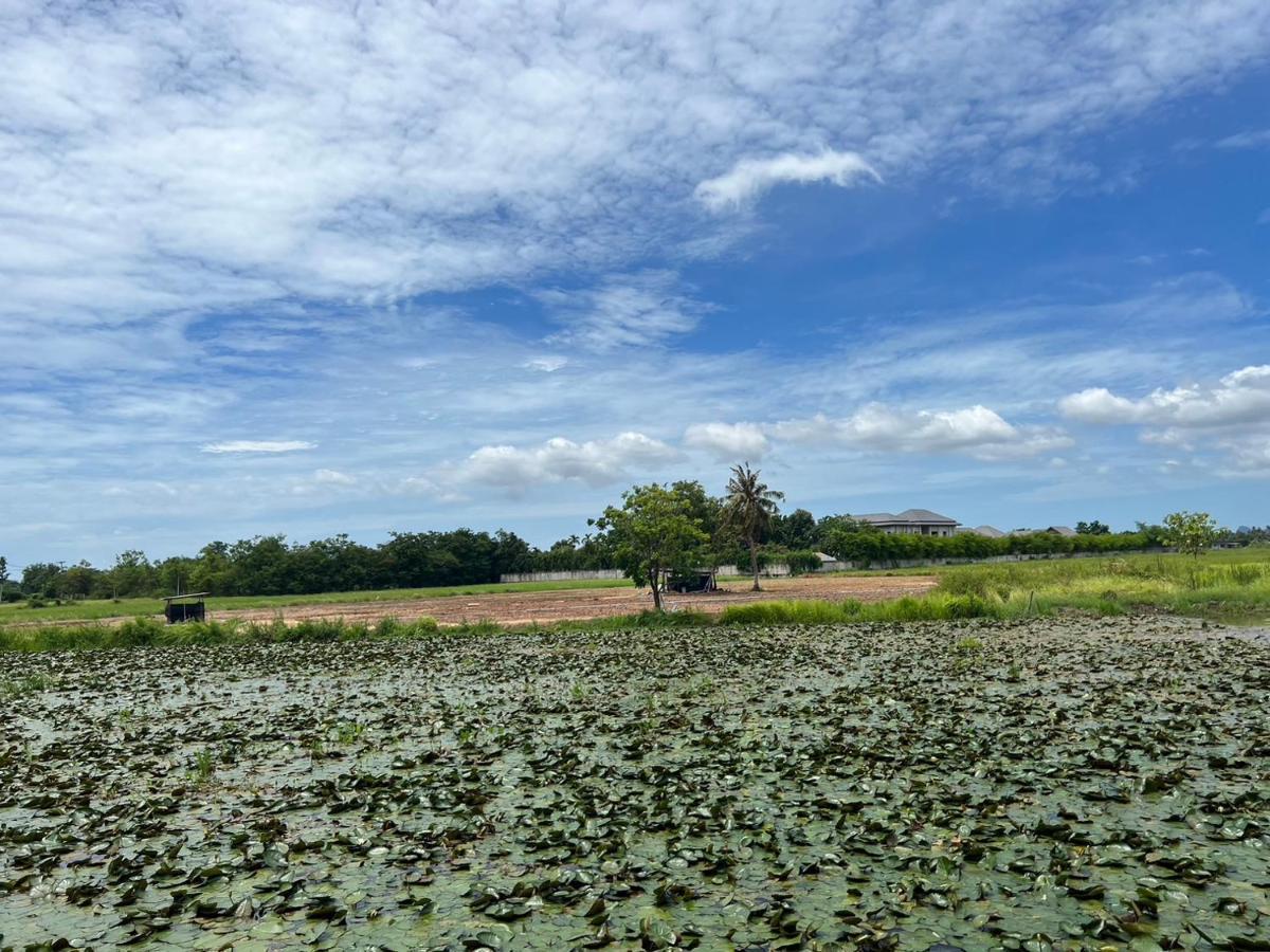 On Green Resort Ban Huai Sua Eksteriør billede