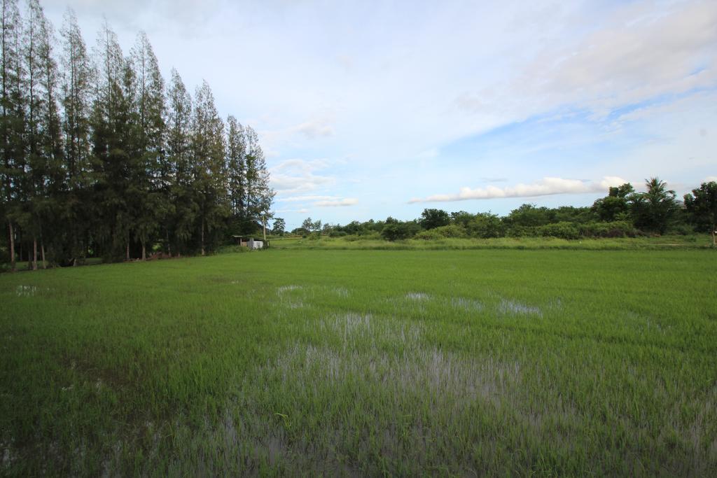 On Green Resort Ban Huai Sua Eksteriør billede