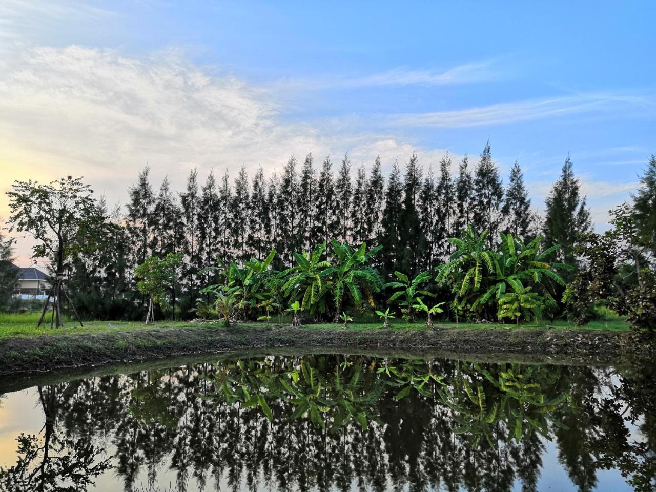 On Green Resort Ban Huai Sua Eksteriør billede